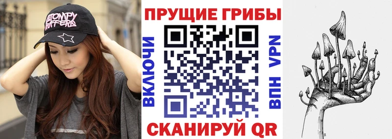 Галлюциногенные грибы мухоморы Купить закладки Куйбышев